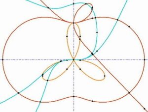 Arrangements of Algebraic Curves