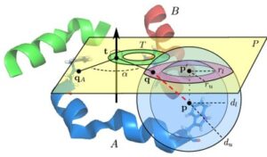 Symmetric Protein Structure Determination Using Arrangements of Circular Arcs