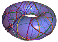 Arrangement on Torus