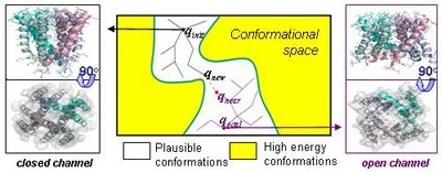 PathRover - Rapid Sampling and Optimization of Molecular Motions