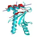 PathRover - Rapid Sampling and Optimization of Molecular Motions