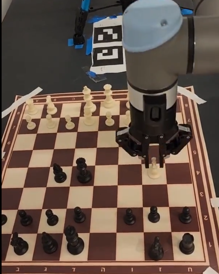 Chess